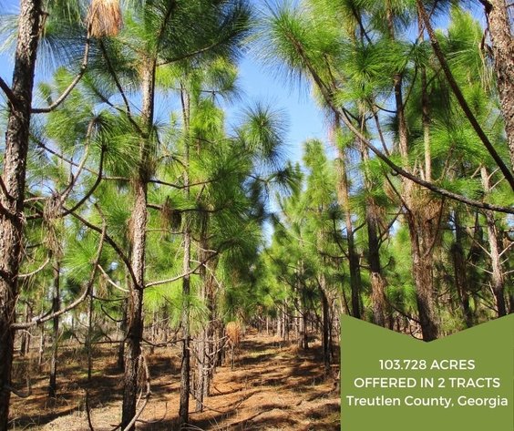 Image for ONLINE AUCTION - Thursday, March 3, 2022