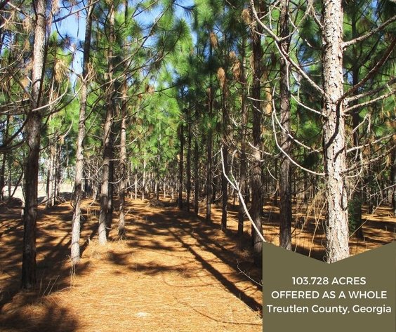 Image for ONLINE AUCTION - Thursday, March 3, 2022