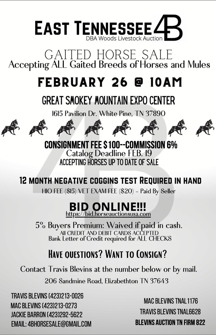 East Tennessee 4B Gaited Horse Sale White Pine, Tennessee February 26th
