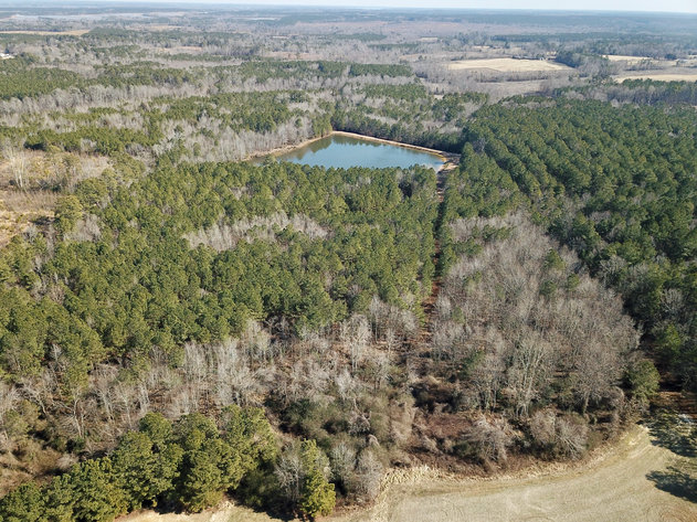 Image for 60 +/-  Acres  Warren County, NC
