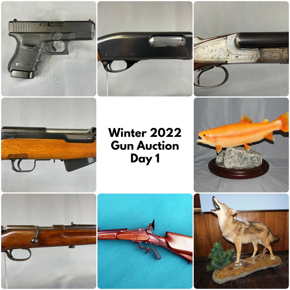Image for Winter Guns, Ammo, & Taxidermy Auction - Day 1