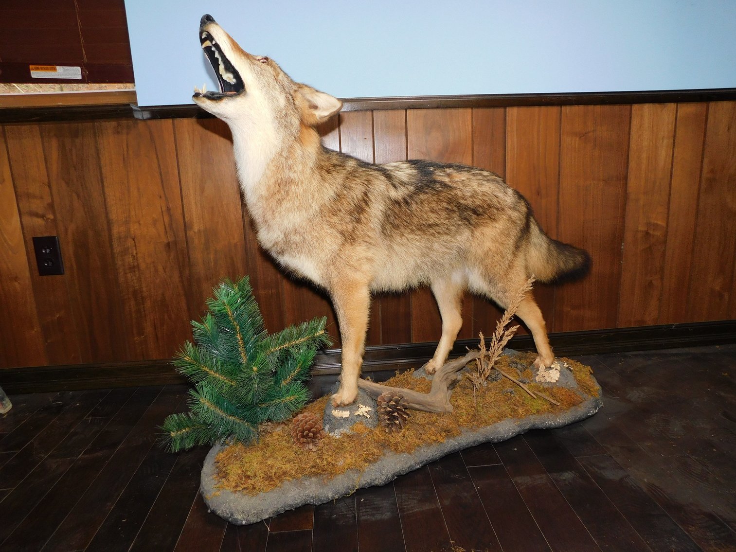 Image for Winter Guns, Ammo, & Taxidermy Auction - Day 1