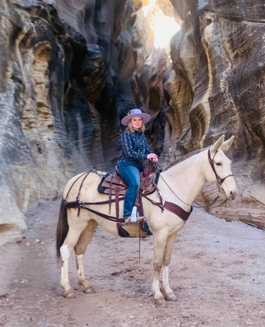 Image for WLS Spring Catalog Mule & Horse Sale  Ewing, Kentucky - March 12th