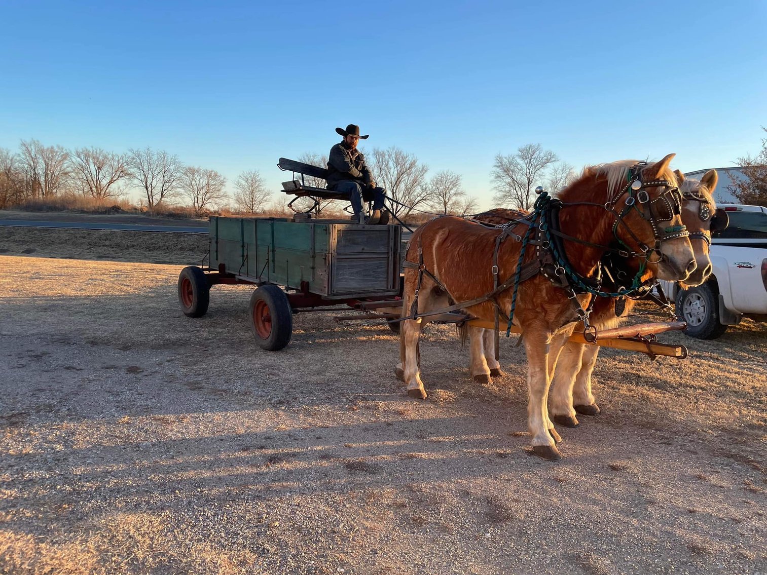 Image for Special Draft & Mule Sale Central Livestock - South Hutchinson, Kansas February 11-12th