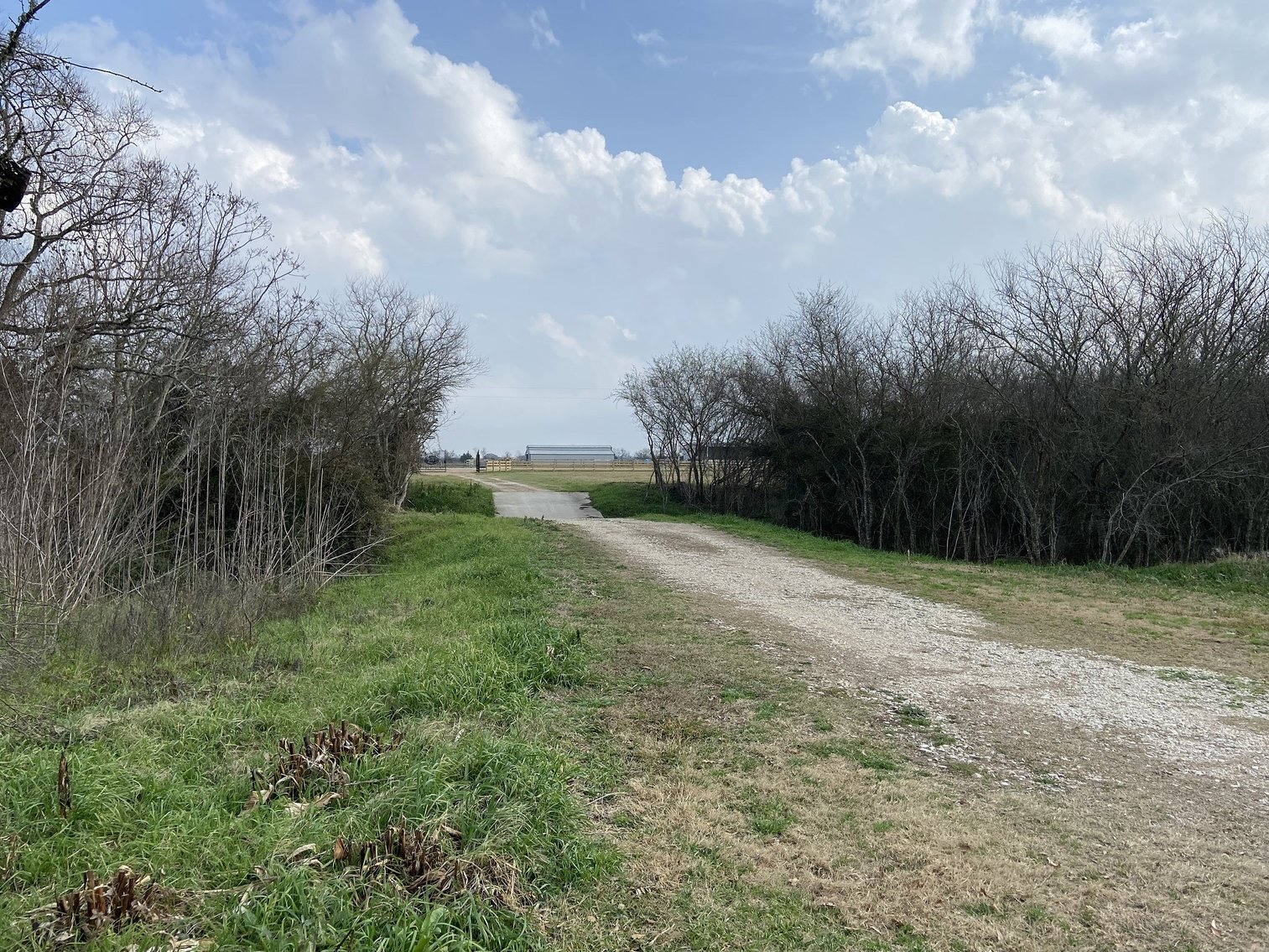 Image for 869 Witte Road, Bellville, TX 77418, Austin County