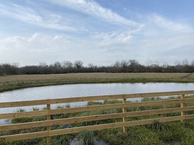 Image for Tract B - 869 Witte Road, Bellville, TX 77418, Austin County