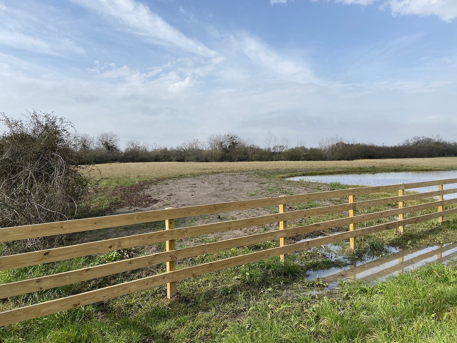 Image for Tract B - 869 Witte Road, Bellville, TX 77418, Austin County