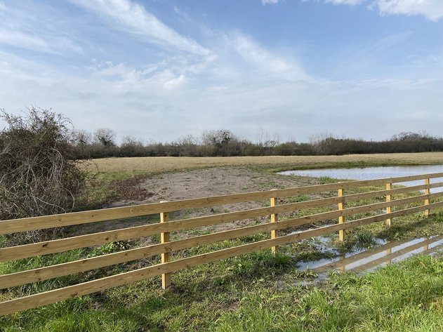 Image for Tract B - 869 Witte Road, Bellville, TX 77418, Austin County