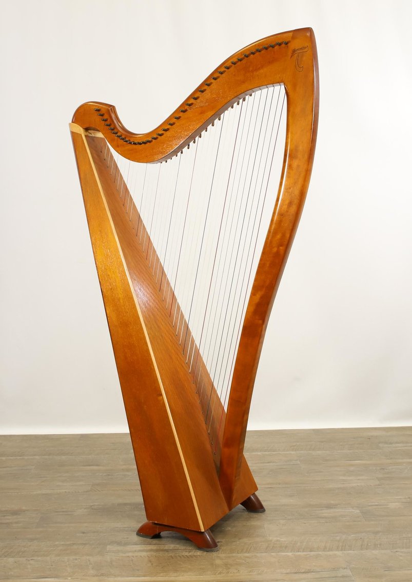 Image for Musical Instruments | February 22, 2022 at 10:00 AM