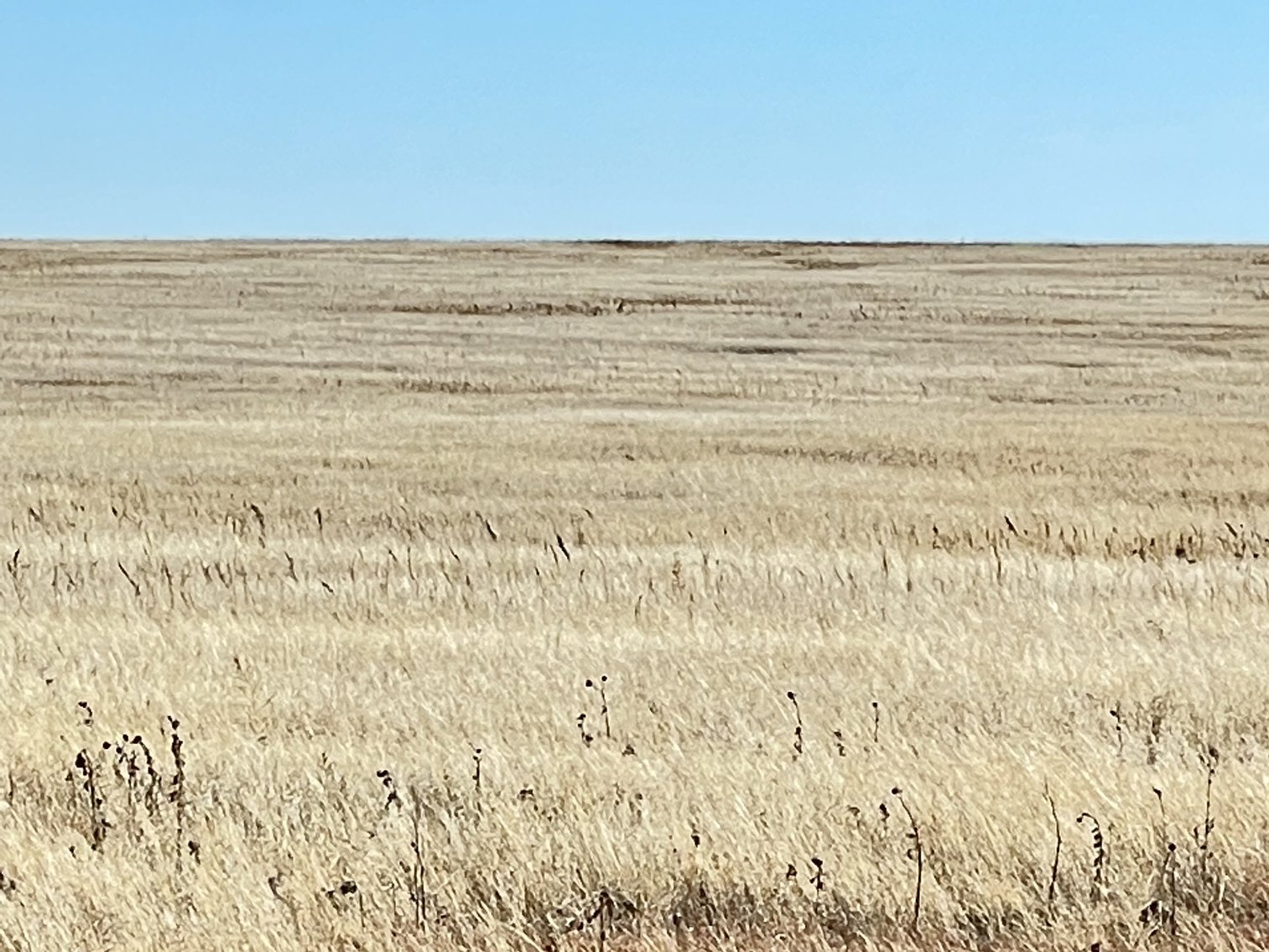 Image for LINCOLN COUNTY, CO - CRP {L1554}
