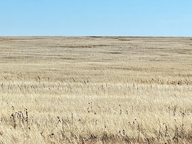 Image for LINCOLN COUNTY, CO - CRP {L1554}