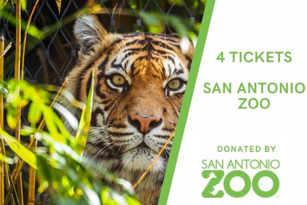 Image for Texas Women's League 2022