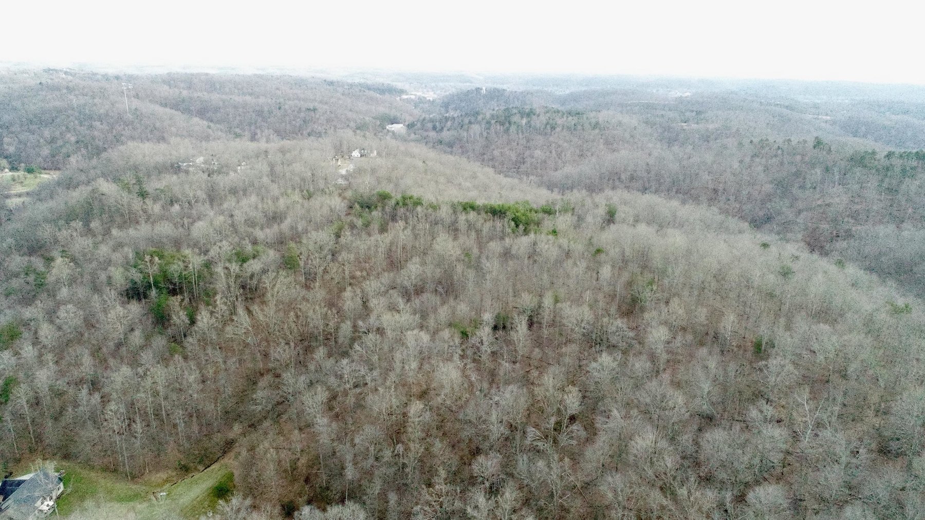 Image for SOLD $140,250 - 67 Prime Acres Selling to the Highest Bidder