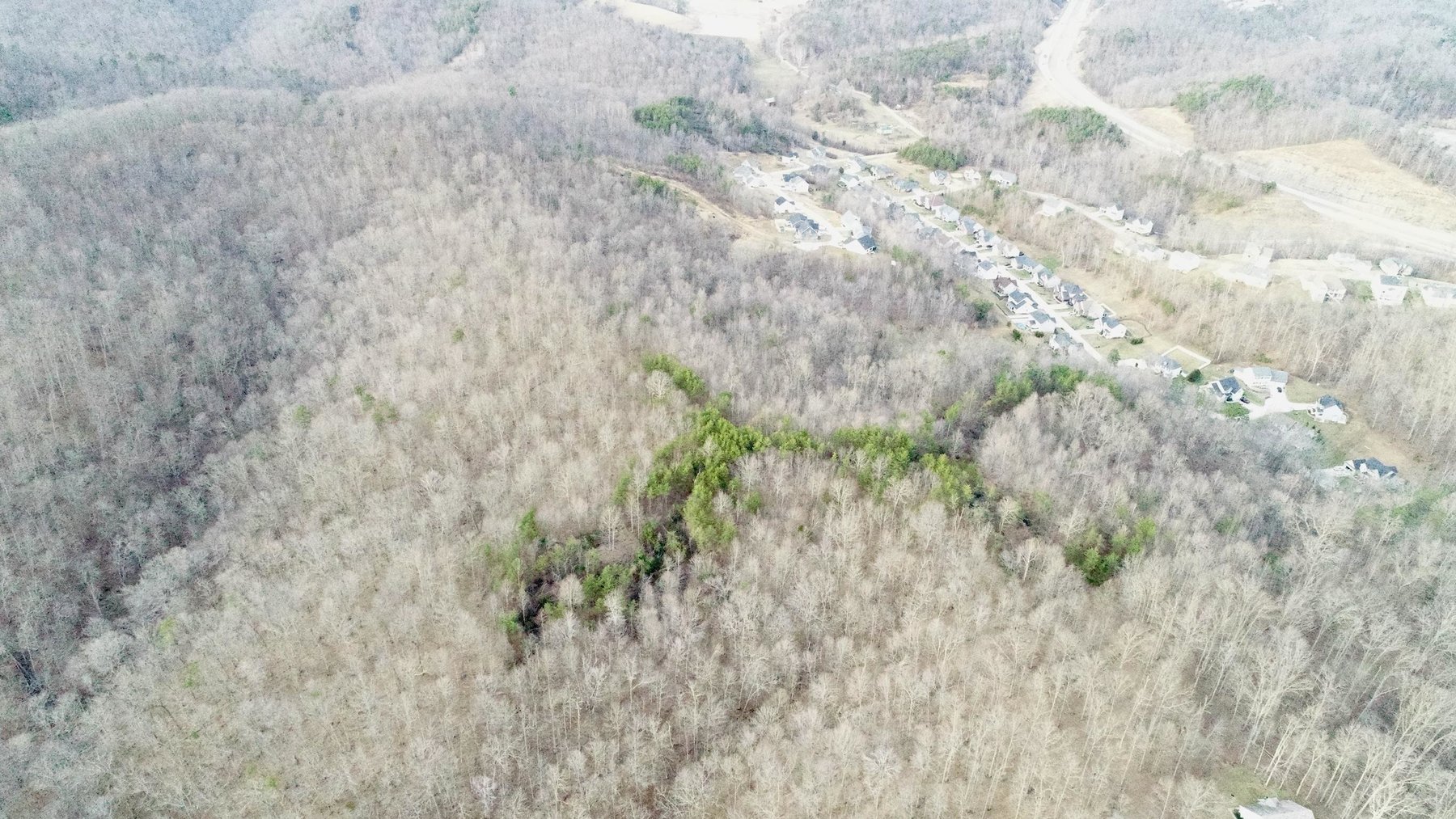Image for SOLD $140,250 - 67 Prime Acres Selling to the Highest Bidder