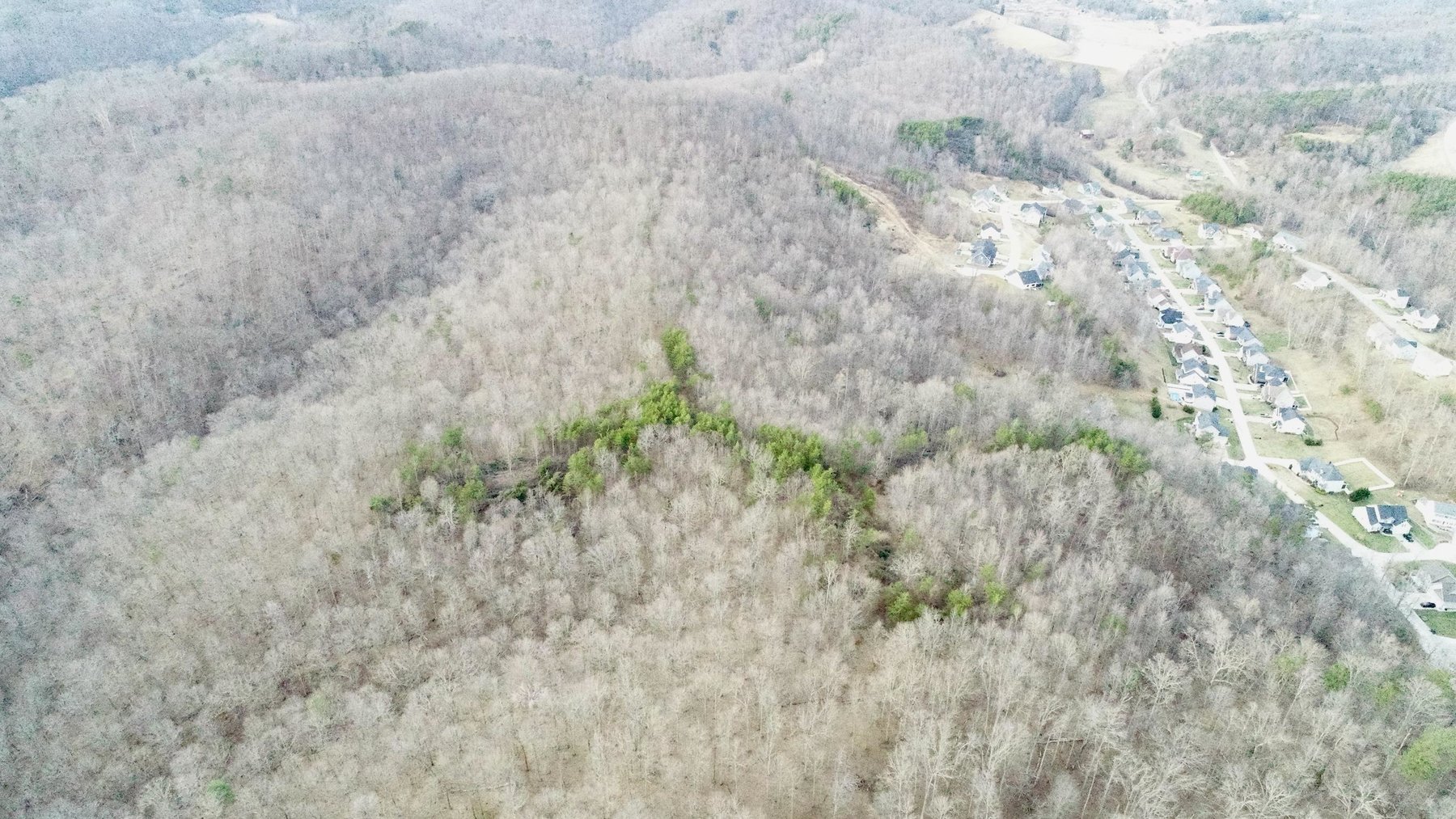 Image for SOLD $140,250 - 67 Prime Acres Selling to the Highest Bidder