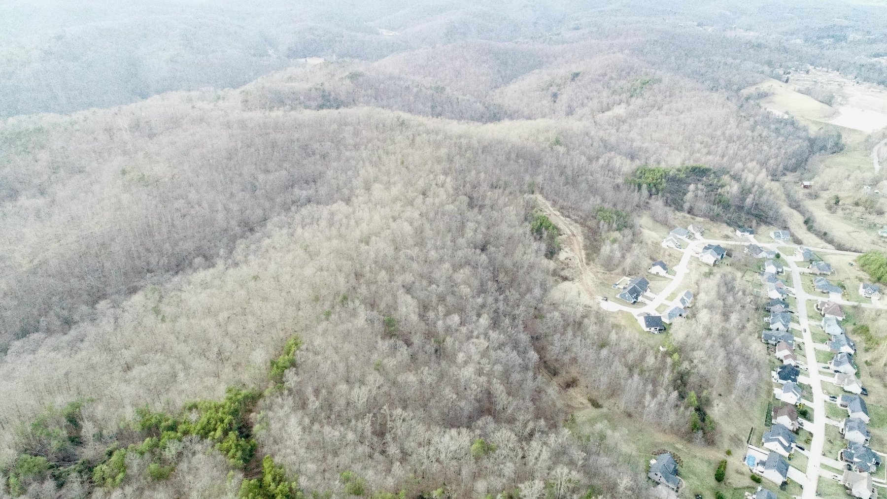 Image for SOLD $140,250 - 67 Prime Acres Selling to the Highest Bidder