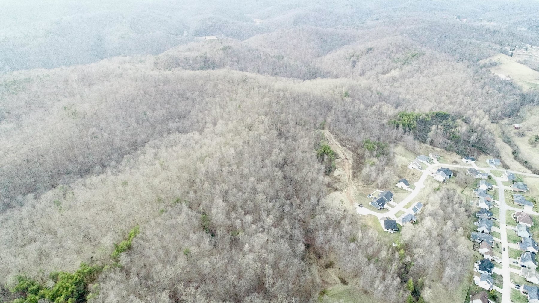 Image for SOLD $140,250 - 67 Prime Acres Selling to the Highest Bidder