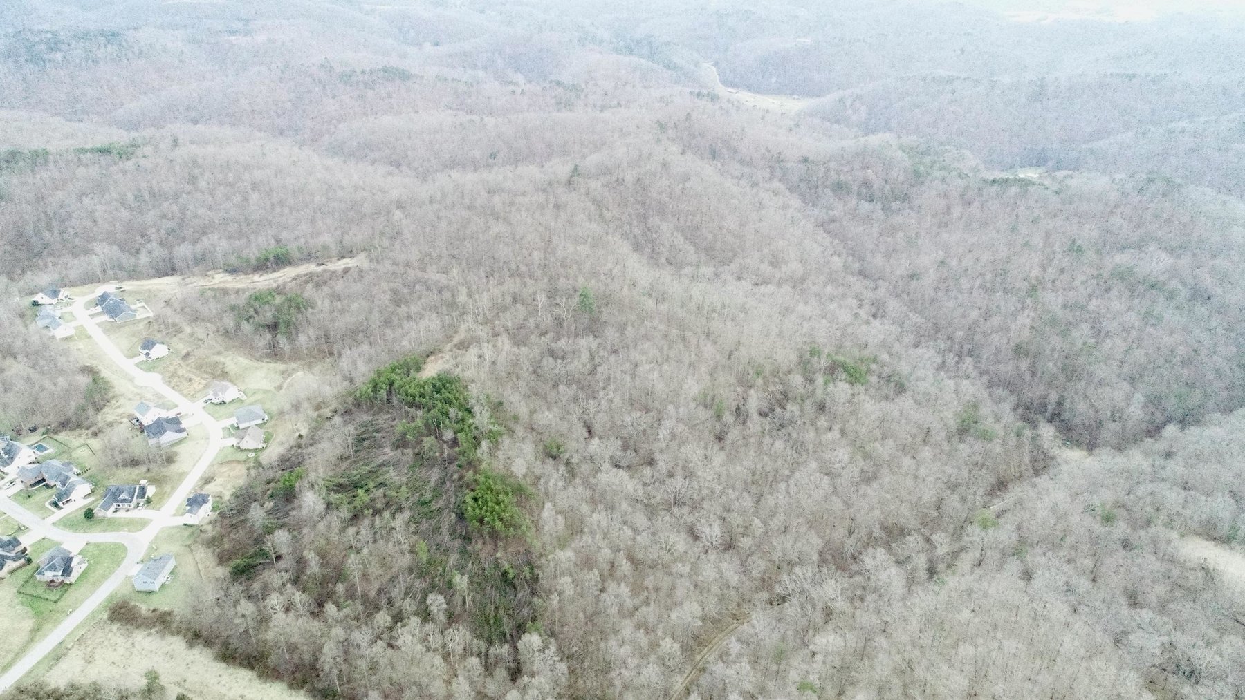 Image for SOLD $140,250 - 67 Prime Acres Selling to the Highest Bidder