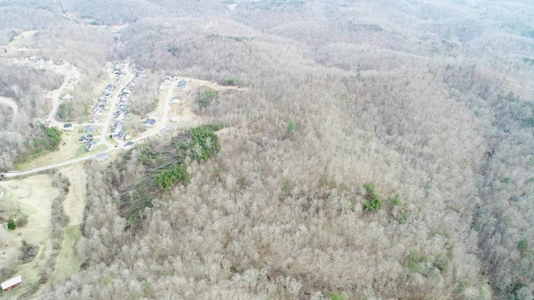 Image for SOLD $140,250 - 67 Prime Acres Selling to the Highest Bidder