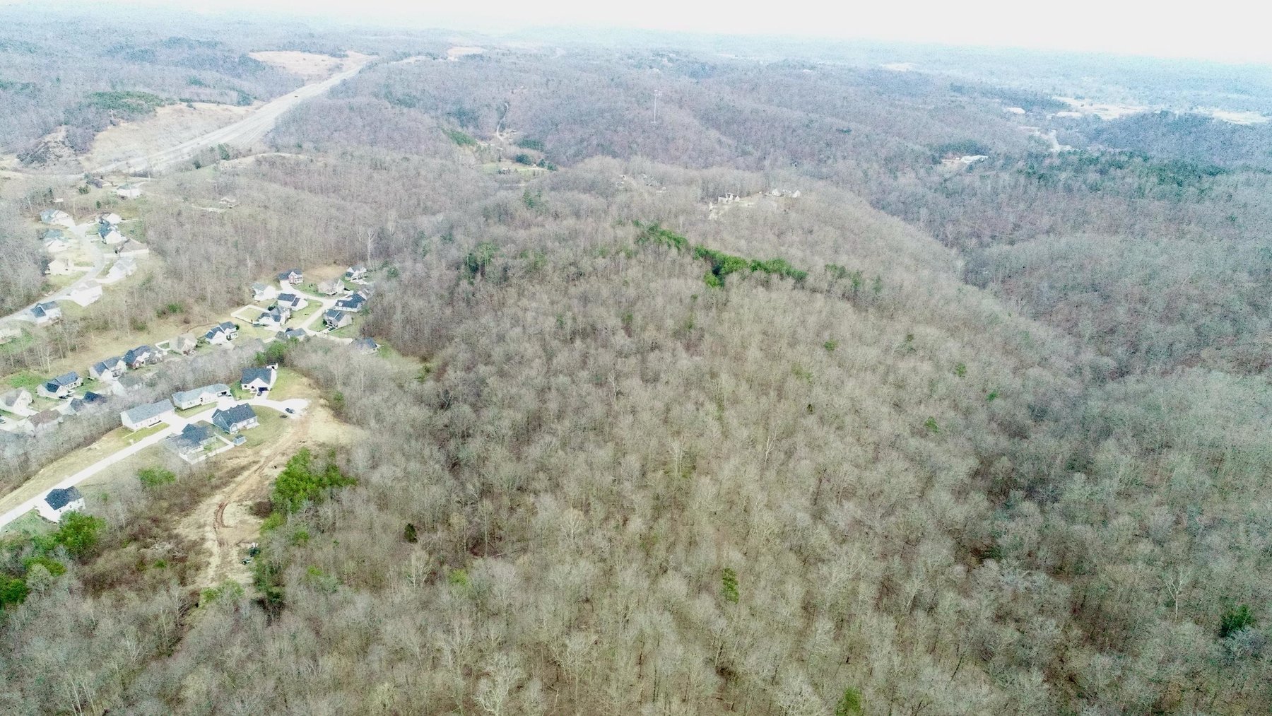 Image for SOLD $140,250 - 67 Prime Acres Selling to the Highest Bidder