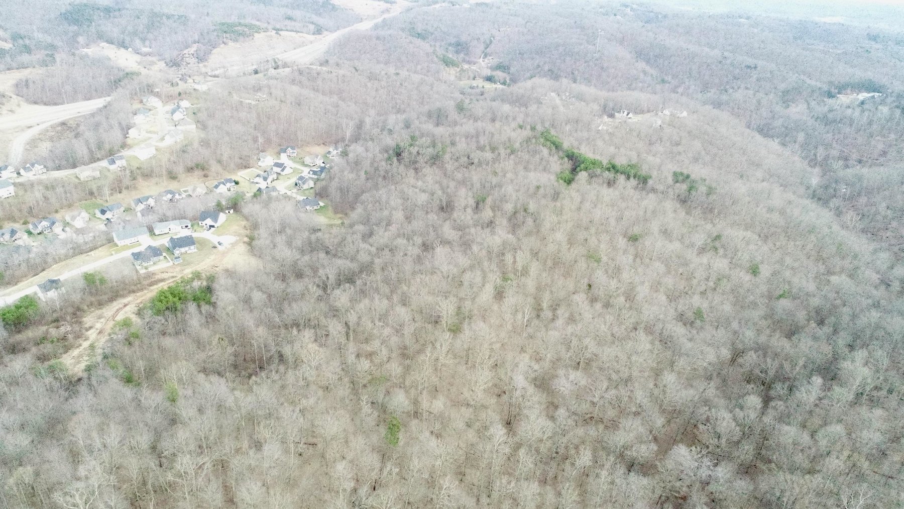 Image for SOLD $140,250 - 67 Prime Acres Selling to the Highest Bidder