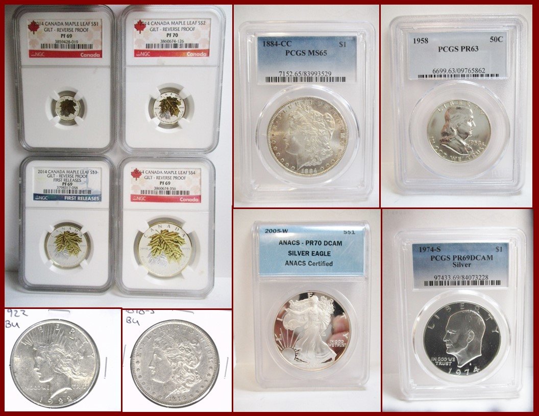 Image for Bradburry Coin Collection