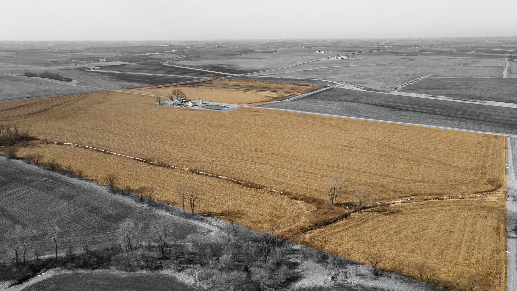 Image for Timothy Lageman Farm Land
