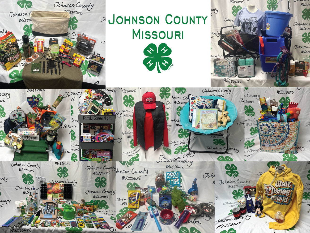 Image for Johnson County, MO 4-H