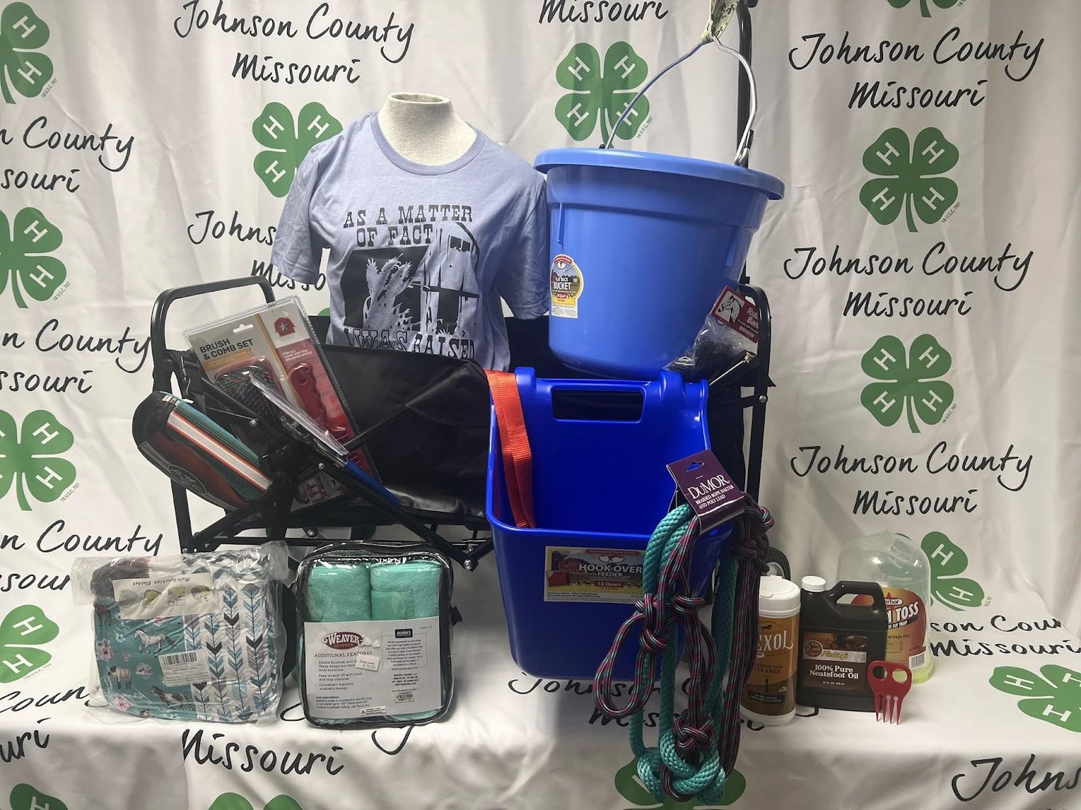 Image for Johnson County, MO 4-H