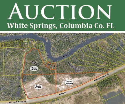 Image for Online Auction - 27 Acres Divided in White Springs, Columbia Co., FL