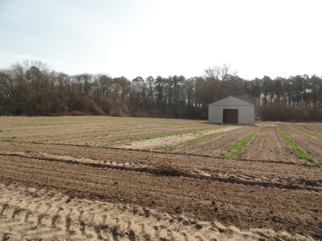 Image for Apr 9, 2022 Real Estate & Farm Equipment Auction