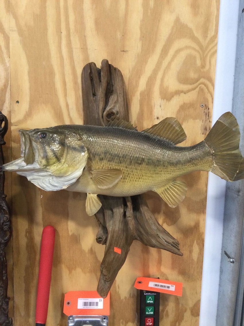 Image for Furniture, collectibles, household & more-New building North