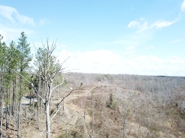 Image for 122 +/- Acres Yadkinville, NC