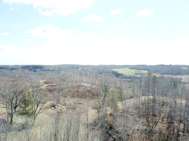 Image for 122 +/- Acres Yadkinville, NC