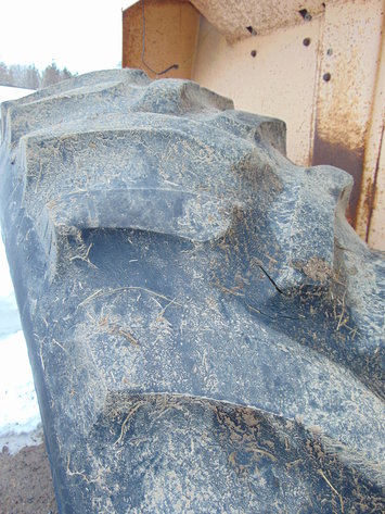 Image for Daryl Wallskog