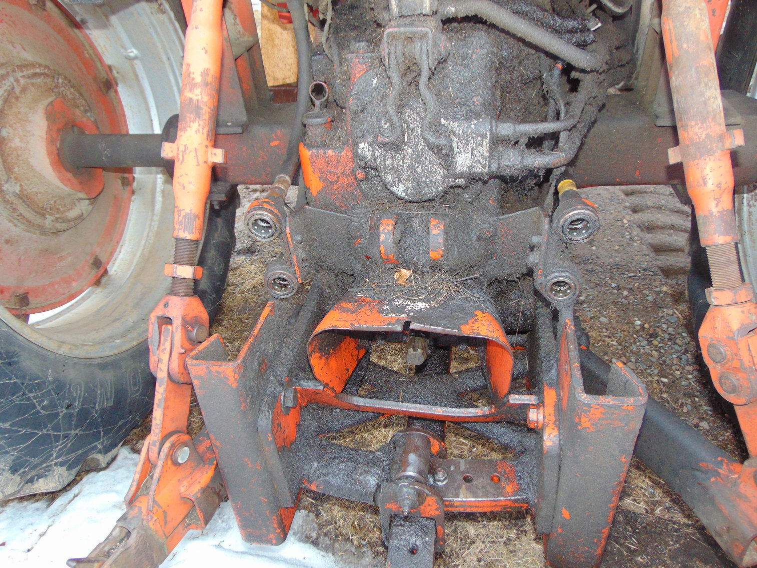 Image for Daryl Wallskog