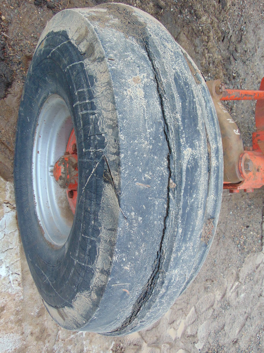 Image for Daryl Wallskog