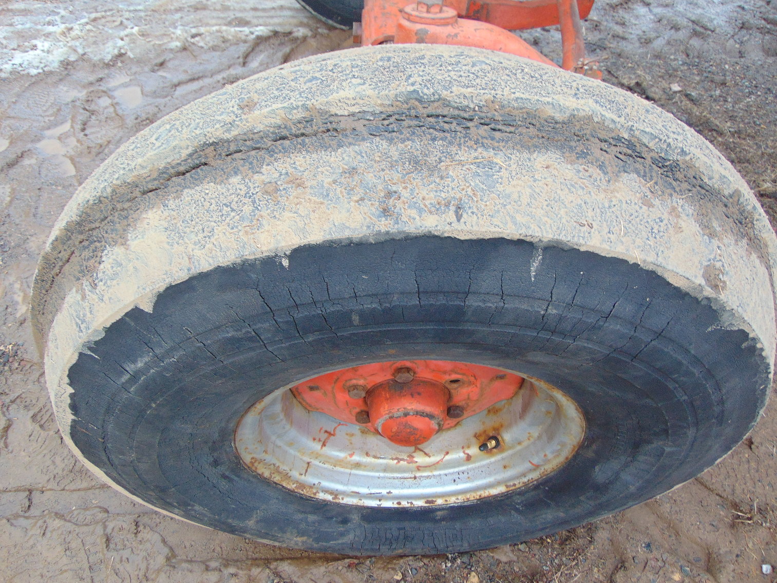 Image for Daryl Wallskog