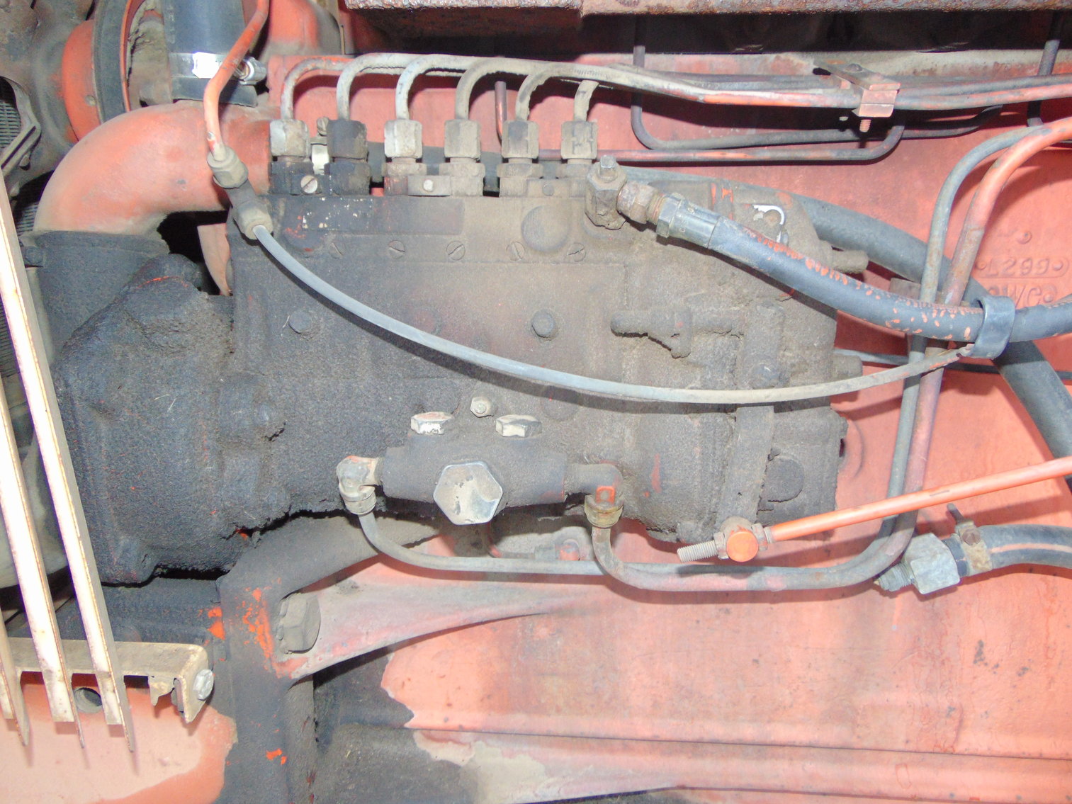 Image for Daryl Wallskog