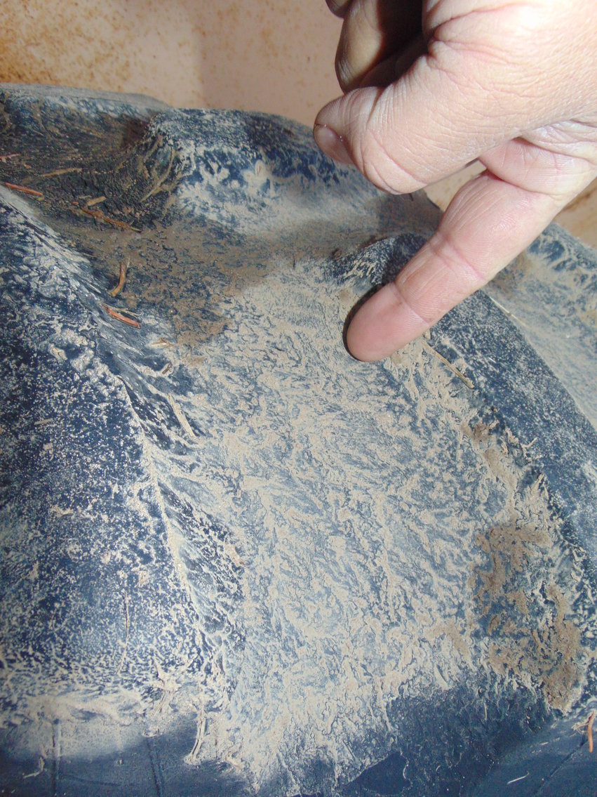 Image for Daryl Wallskog