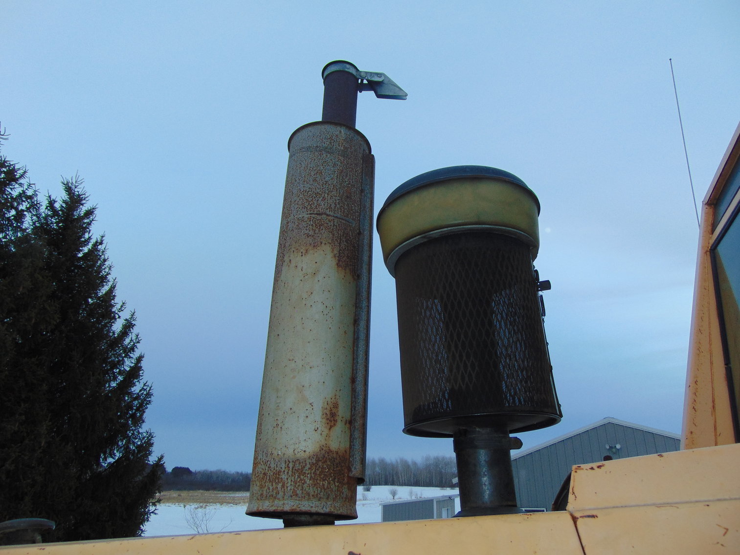 Image for Daryl Wallskog