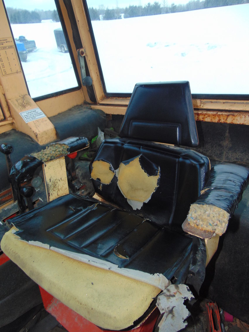 Image for Daryl Wallskog