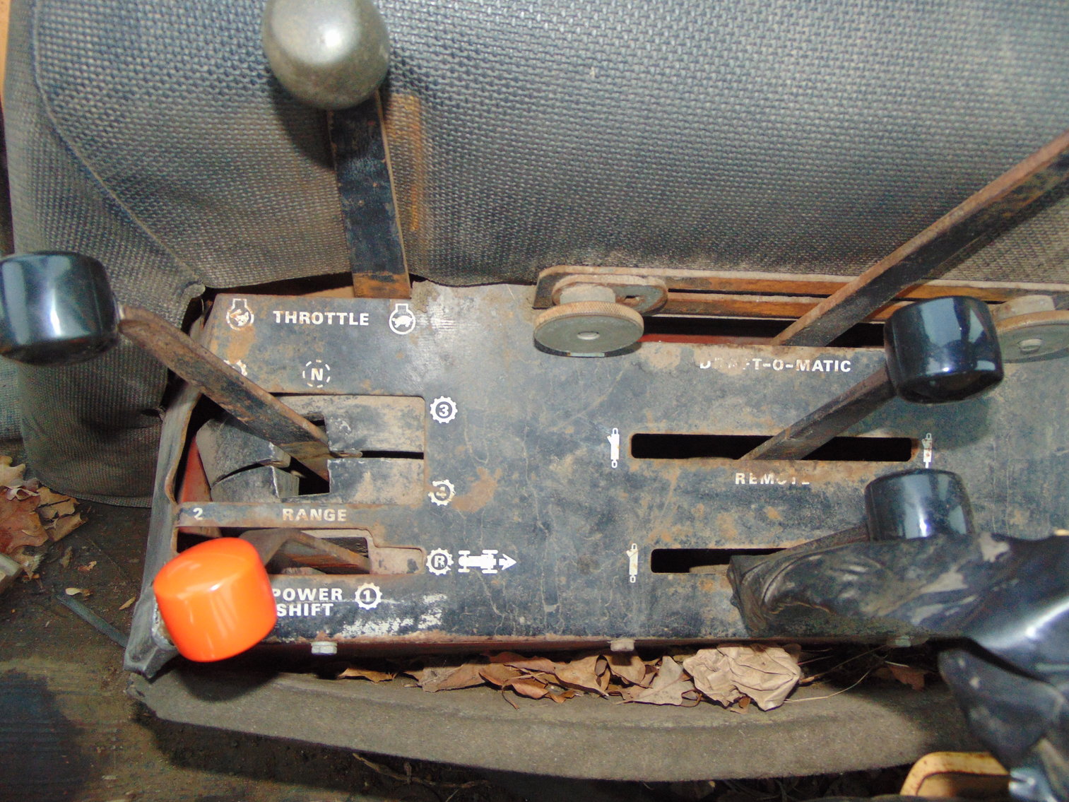 Image for Daryl Wallskog