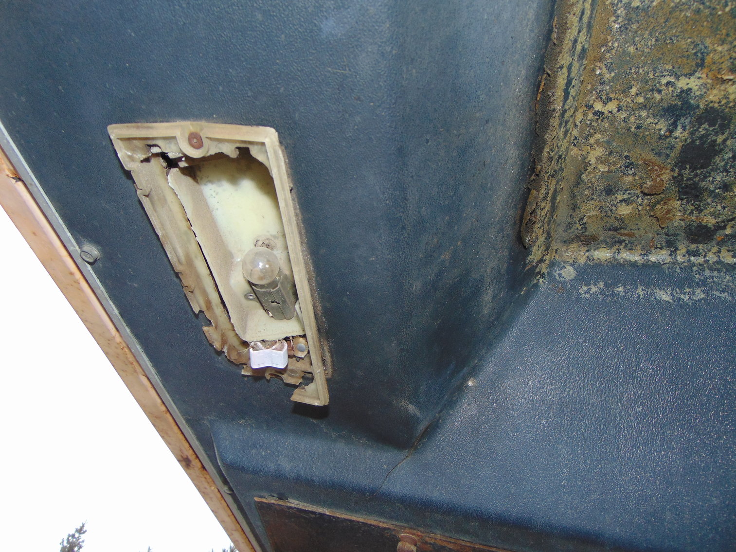 Image for Daryl Wallskog