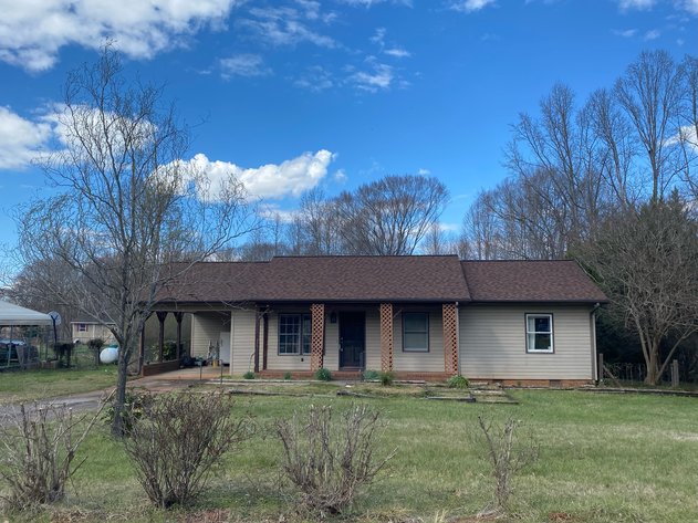 Image for Hickory Tree