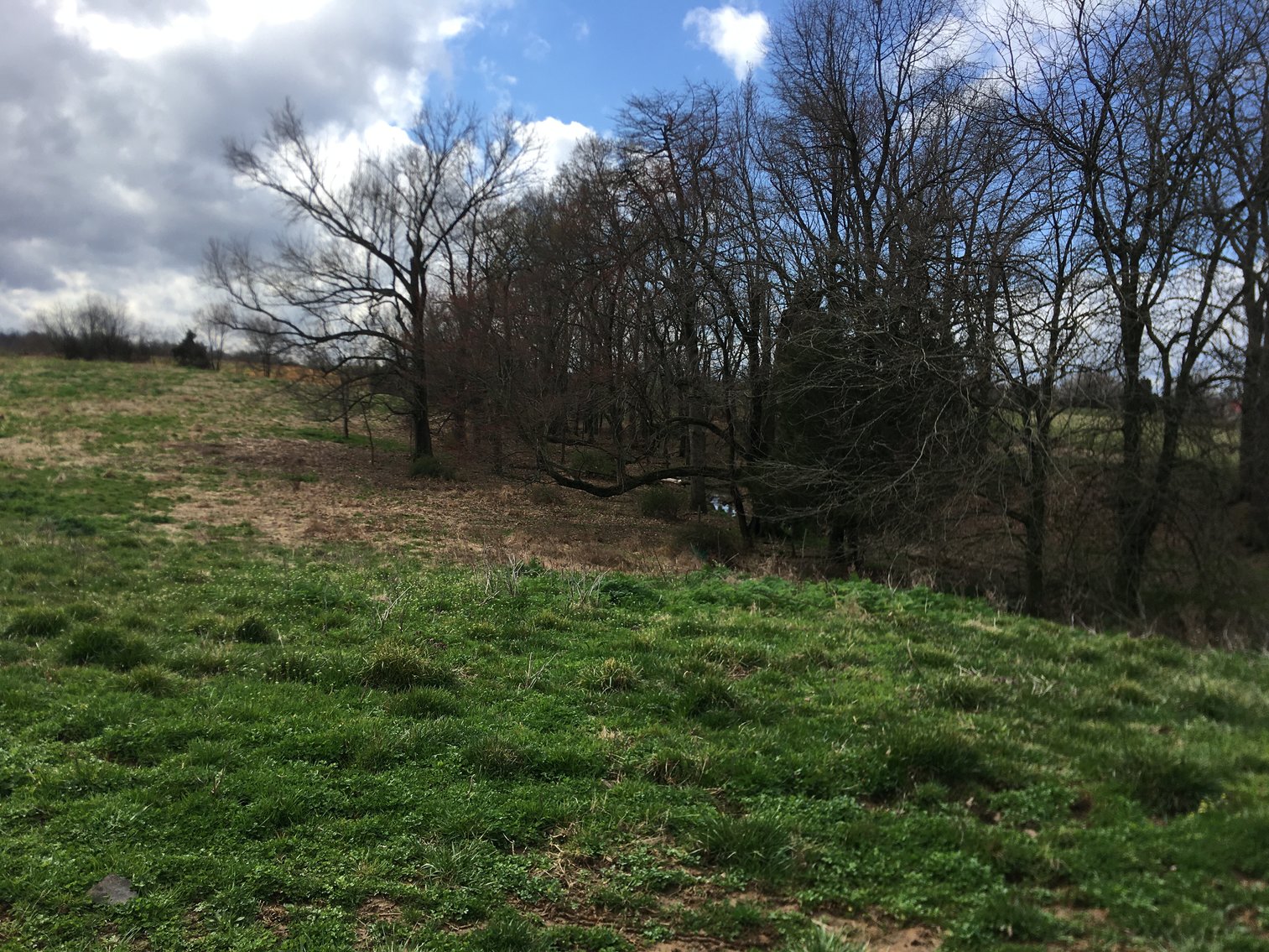 Image for Roy A. Massey Estate ~ Click Here For Details