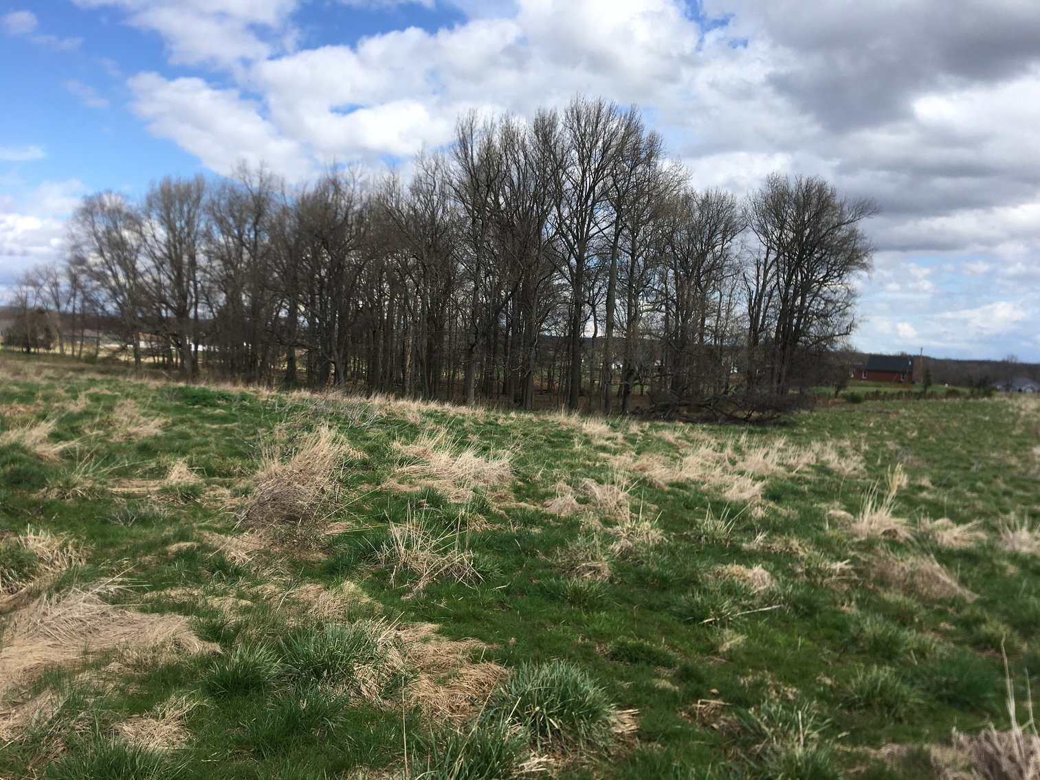 Image for Roy A. Massey Estate ~ Click Here For Details