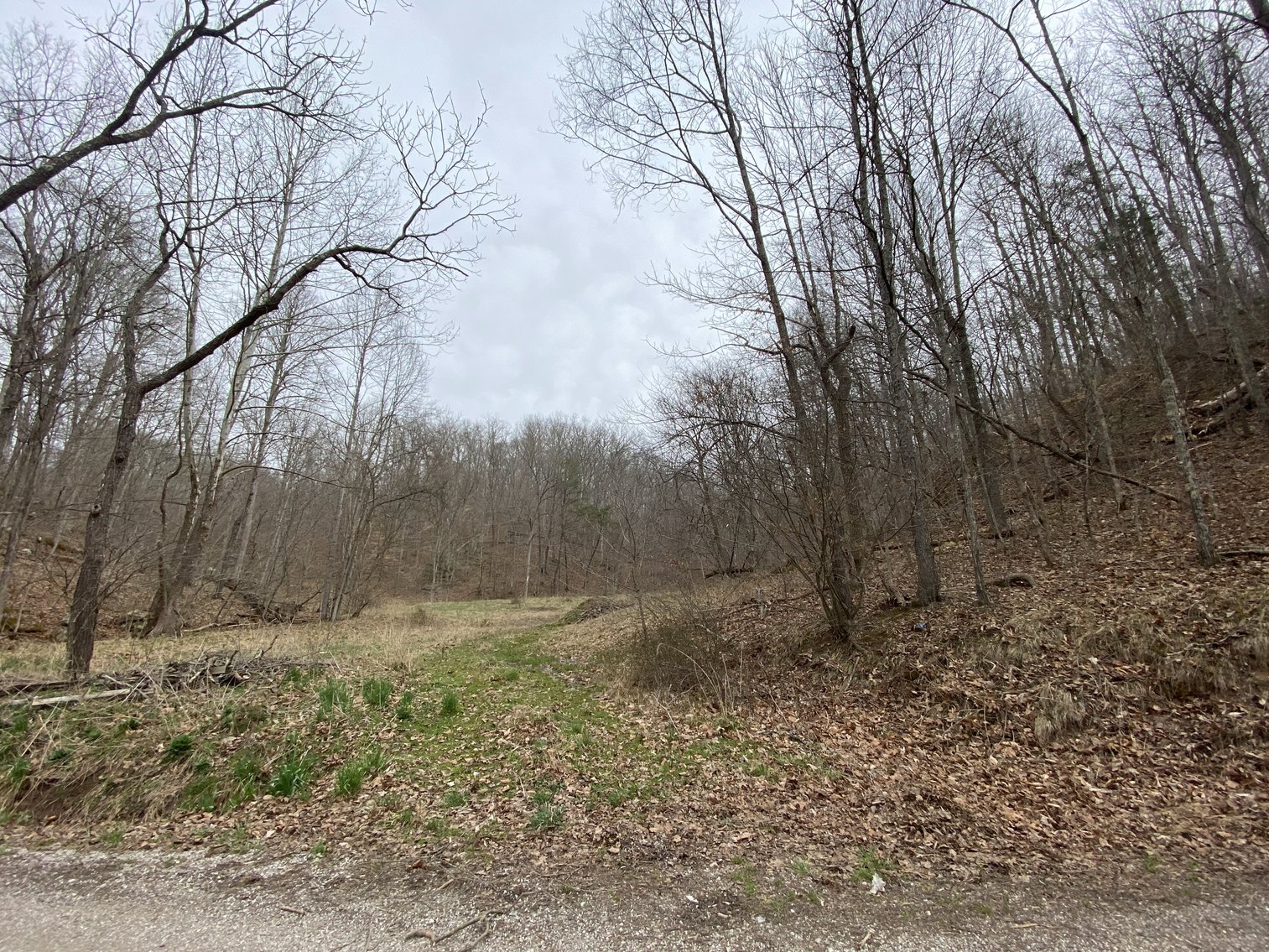 Image for Akers Estate Auction w/ Real Estate