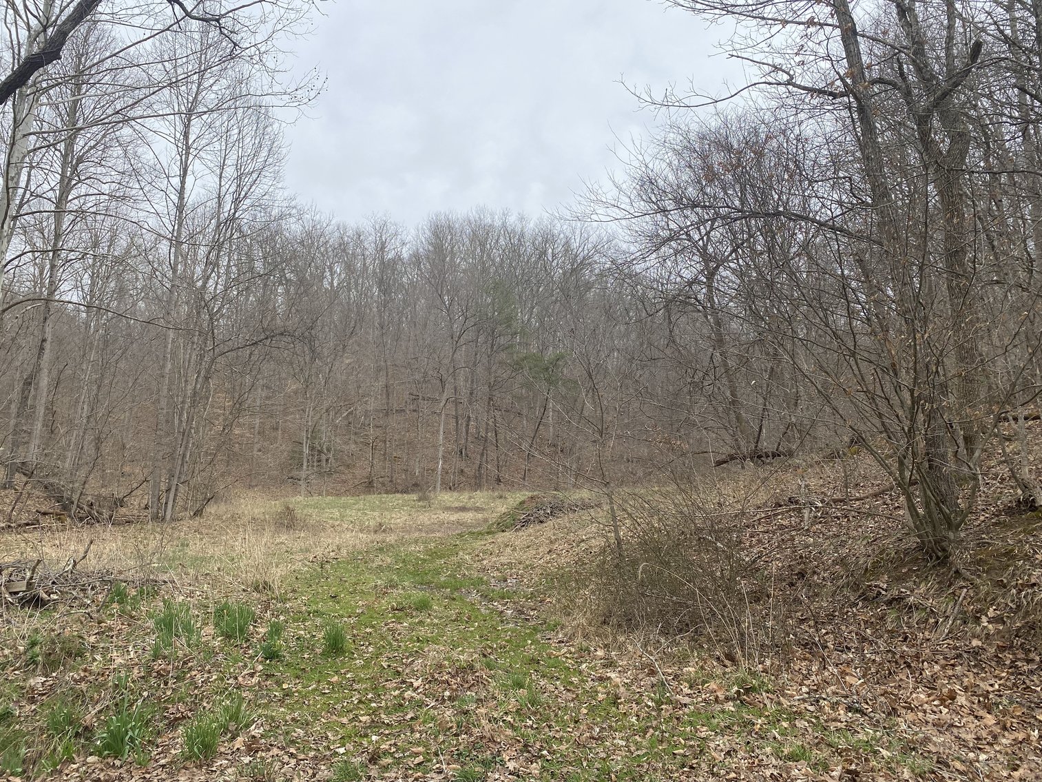 Image for Akers Estate Auction w/ Real Estate