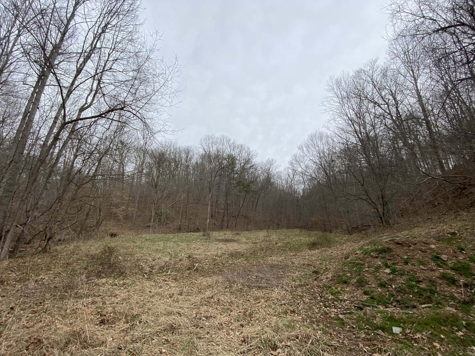 Image for Akers Estate Auction w/ Real Estate